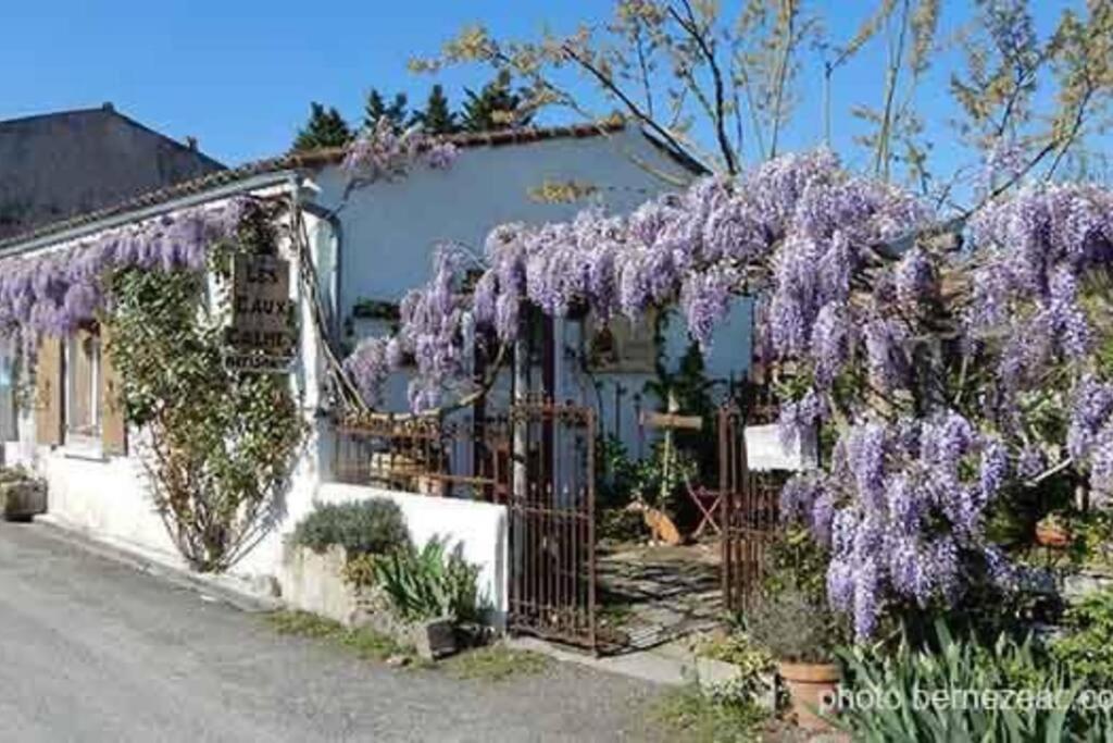 Maison Coquelicots - 4 Personnes - Jardin Mornac-sur-Seudre Extérieur photo